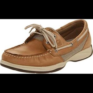 Brown Sperry Top Sider
